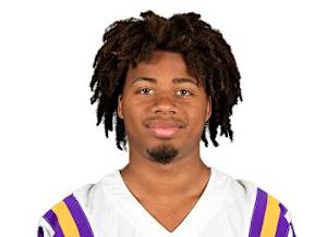 derek stingley jr